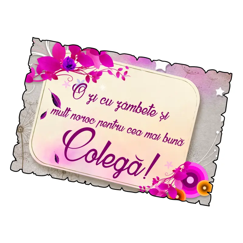 Mgs113-o zi cu zambete pentru cea mai buna colega, magnet frigider